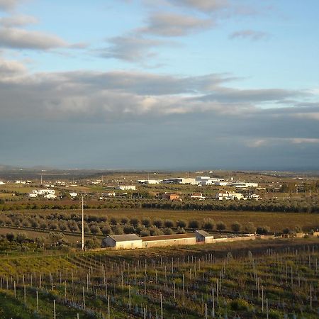 Outeiro Do Barro ξενώνας Reguengos de Monsaraz Εξωτερικό φωτογραφία